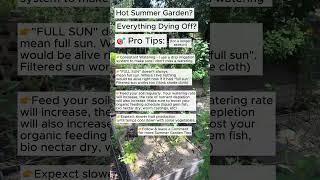 Hot Summer Garden Drying up?  Pro Tips for how to keep your garden thriving...