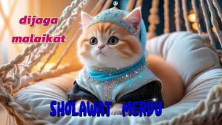 SHOLAWAT PENGANTAR TIDUR, DIJAGA MALAIKAT @kucingsholawatrafasya