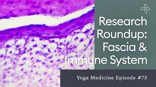 Research Roundup: Fascia & Immune System