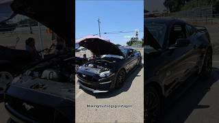 2020 Mustang GT. 8k miles black on black PP1 401a package. active exhaust
