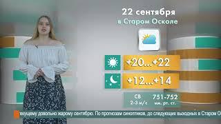 Погода в Старом Осколе на 22 сентября