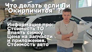 Что делать если Lixiang "Окирпичится" ? Стоимость запчастей, установка симки, автомобилей