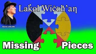 David Little Elk - Missing Pieces #lakota #spirituality #love #peace #starknowledge