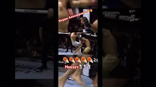  Икрам Алискеров vs Алвес/ нокаут/ highlights #mma #ufc #нокаут #смешанныеединоборства