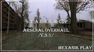 S.T.A.L.K.E.R: CoP -Arsenal Overhaul /v.3.1/- Лучшая оружейка на ЗП!!