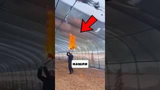 Это Гениально