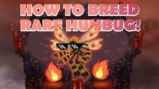 *BREEDING RARE HUMBUG!* - Breeding Combination Confirmed