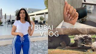 VLOG: Dubai - Zoo safari (FAIL), getting nails done, McDonald's BTS meal