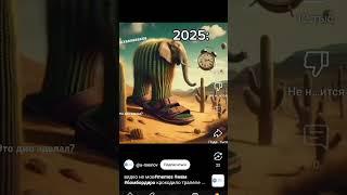 бомбардиры крокодила 2025 год