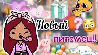 Новый питомец Силии?! / Toca Life World / тока бока / toca boca / Secret Toca