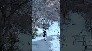 RUN! | KOREA TRIP #southkorea #GardenofMorningCalm