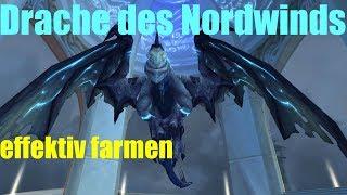 Drache des Nordwinds effektiv farmen - WoW Reittier Guide | Deutsch