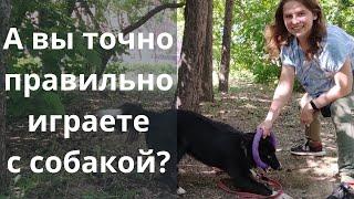 А вы точно правильно играете с собакой? Научите играть собаку! Дрессировка собак, Казань