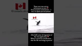 ПОЛ ГОДА ОЖИДАНИЯ  ВИЗЫ В КАНАДУ #canada #longprocessingtimes