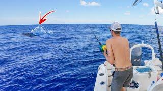 We Went 85 Miles Offshore in a 23' Boat To Chase 1,000 Pound Fish!