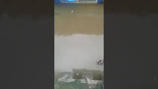 Funny moment caught on camera in havy rainfall on 19 09 2017