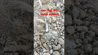 #viral #earth #soil #smell top video