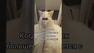 У каждого есть такой (подписывайтесь в телеграм, там много такого видео, ссылка в шапке профиля)