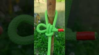 Workplace Wisdom: Essential Knot For Every Situation 
