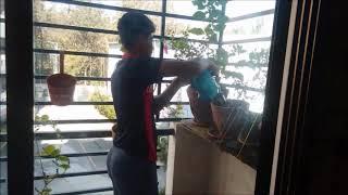BVMites @ Home Part-2 Learners at Play