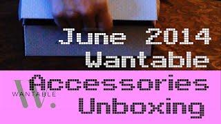 Wantable Accessories June 2014 Unboxing + First Impressions - FamiGami