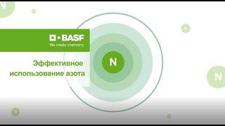 Эффективность использования азота: как технологии BASF сохраняют азот в почве