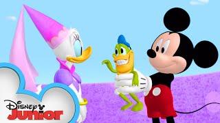 Donald Turns into a Frog | Mickey Mornings | Mickey Mouse Clubhouse | @disneyjr