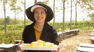 Celebrating Beekeeping: A Global Story - Vietnam