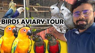 Update!!! Birds Aviary Tour | Breeding Secret தமிழ் Birds Supplement | Prasanth 360