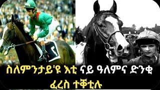 ሸርጋር እቲ ናይ ዓለምና ዝበለጸ ተቐዳዳማይ ፈረስን ናይ ኣቀታትልኡ ምስጢራትን #dehay_tv #tigrigna #eritrea