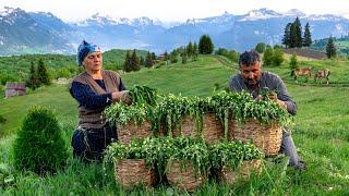 Caucasian Wild Garlic: Collecting and Making Flatbreads