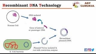 What is Recombinant DNA Technology [Full Animation] | rDNA Technology | Genetic Engineering