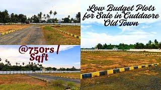9 லட்சத்தில் | Low Budget Dtcp Approved Plots for Sale in Cuddalore Old Town near Suthukulam | E-576