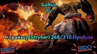 GaRuL.TV Black Desert Online/BDO Страйкер(Stryker) 268/310 Пробуда. Фарм Гистрия