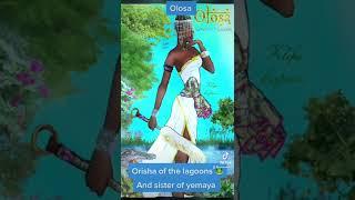 Orisha Olosa Orisha of the lagoons swamps #orishas #santería #fypシ