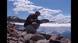 Early ice off fly fishing at Panguitch lake-----a little too early.