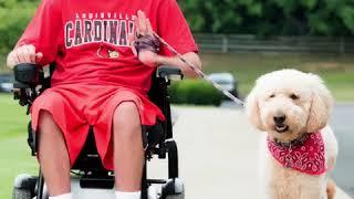 Therapeutic Recreation Month