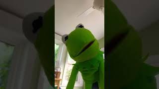 Kermit asks for money