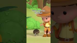 Don't Mistake this Kiwi Bird for the Fruit!  | Leo the Wildlife Ranger | #shorts #education #kids