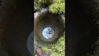 Skylight .#life #water #youtubeshorts #relax