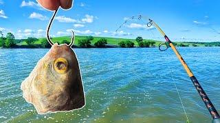 How to Catch Fish Non-Stop With Cut Bait – Best Rig & Tips!