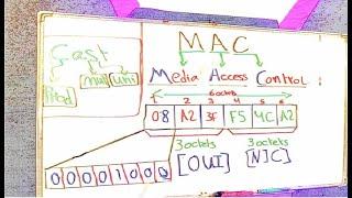 ما هو ال mac address؟ وما هي صفاتة؟ وما هو الفرق بين الـ mac address و الـ ip address؟