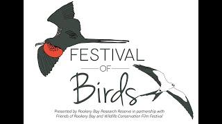 Wildlife Conservation Film Festival for Festival of Birds