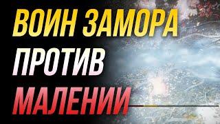 Воин Замора против Малении [NoHIT, Solo] | [День81] Маления каждый день до DLC | ДегродТВ ВЕЩАЕТ