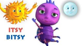 Itsy Bitsy Spider | Incy Wincy Spider | Videogyan 3D Rhymes | Nursery Rhymes For Children