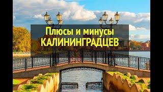 ПЛЮСЫ И МИНУСЫ КАЛИНИНГРАДЦЕВ