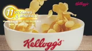 Dalia El Sayed - Kellogg's -  VO commercial khaliji Demo