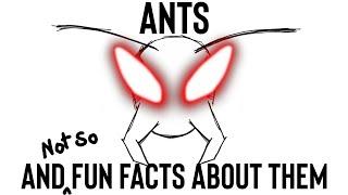 Ants And Not So Fun Facts About Them