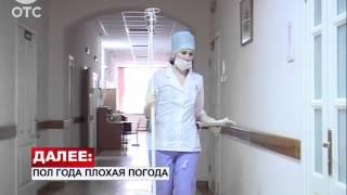 В Новосибирской области два человека скончались после укуса клеща