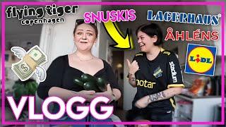 LÅNG VLOGG | SVINDYRT, SHOPPING PÅ NORMAL & LIDL + MASSA OLIKA HAULS